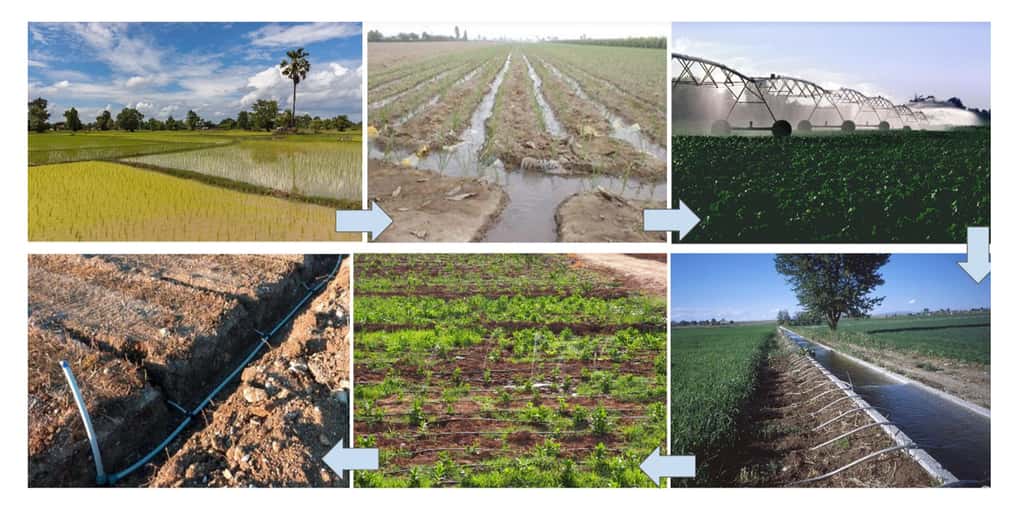 En améliorant les techniques d’irrigation, on peut en faire beaucoup plus avec beaucoup moins d’eau. © Basile Morin, CC 4.0, USDA, USDA DP, Wikipedia Alfredobi, Wikipedia Richard Allaway, Serres de Loire