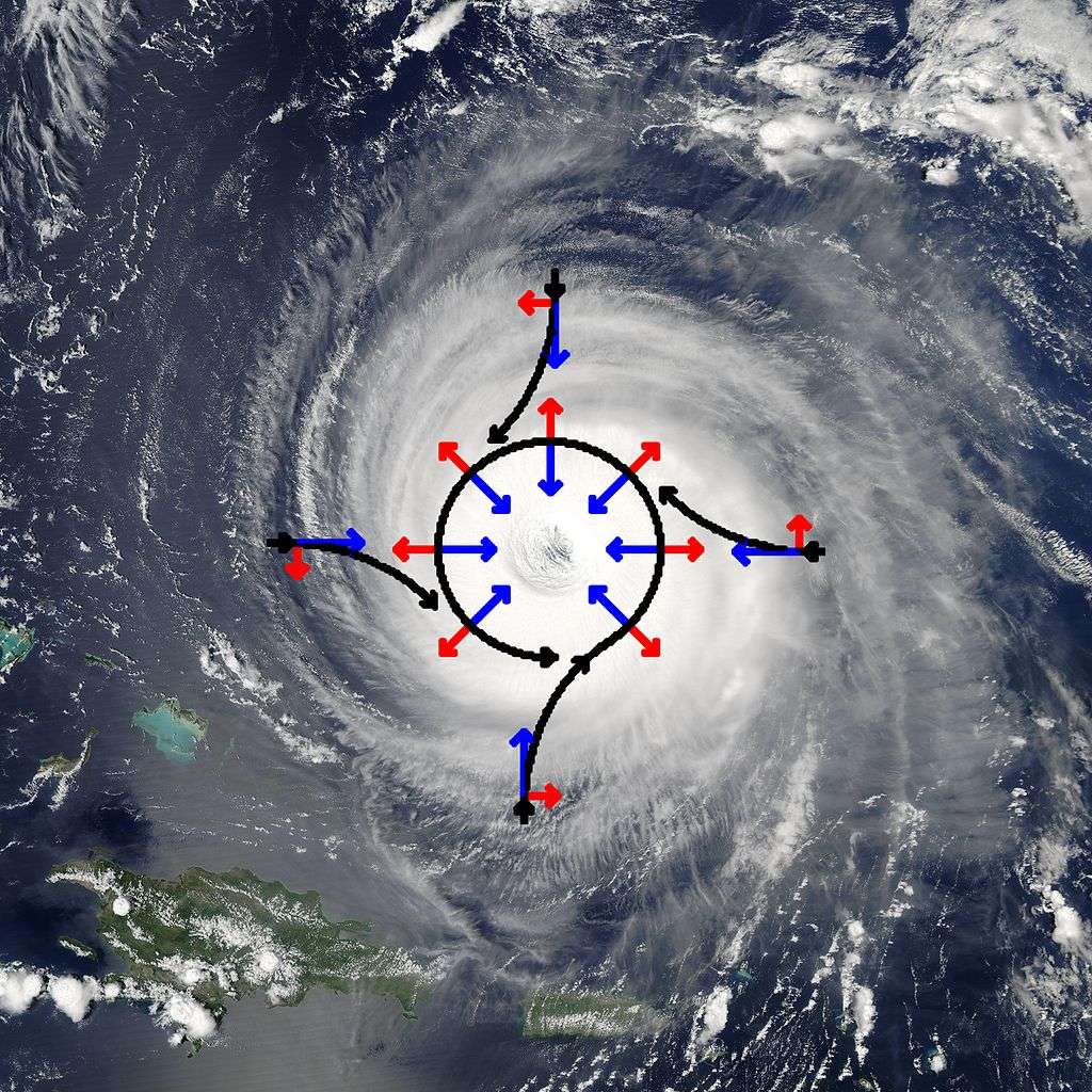 Illustration des forces impliquées dans la rotation des vents de la dépression tropicale Isabel, survenue dans l’hémisphère nord. La trajectoire des vents est indiquée en noir et résulte de la somme de la force de pression (en bleu) et de Coriolis (en rouge). Le sens de rotation des cyclones est différent dans les deux hémisphères. © Titoxd, Wikipédia, GNU 1.2