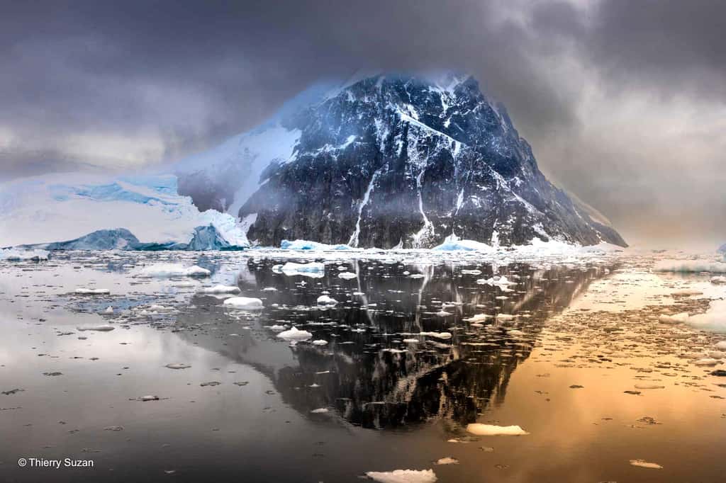 La banquise dérive lentement. Dans ce grand désert froid entouré d’océans meurtriers, les animaux combattent pour survivre et meurent en silence, Terre de Graham, Antarctique. © Thierry Suzan – Tous droits réservés