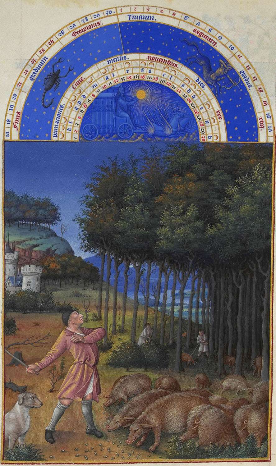 « <em>Les Très riches heures du duc de Berry</em> » illustrent la forte présence de la forêt en France. Ici la « glandée », récolte des glands pour les cochons (peint en 1485 par Jean Colomb). © <a href="https://fr.vikidia.org/wiki/Les_Tr%C3%A8s_Riches_Heures_du_duc_de_Berry" target="_blank">Wikipédia</a>