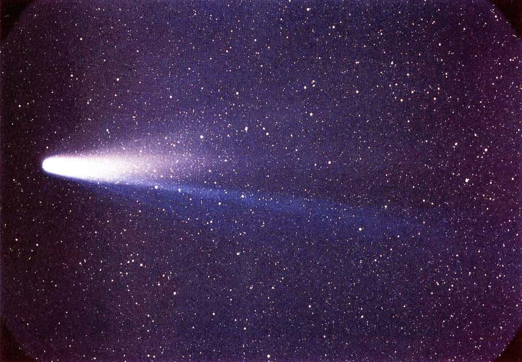 La chevelure de la comète de Halley contient 80 % d'eau. Photo de la Nasa en 1986. © Nasa/W. Lille, DP