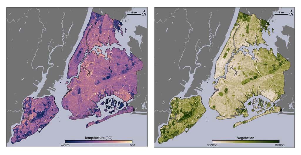 On voit clairement à quel point la végétation rafraîchit la ville de New York. Données satellitaires infrarouges thermiques mesurées par <em>Nasa Landsat Enhanced Thematic Mapper Plus</em> le 14 août 2002, par une chaude journée d’été, et données sur la végétation. © Nasa, DP