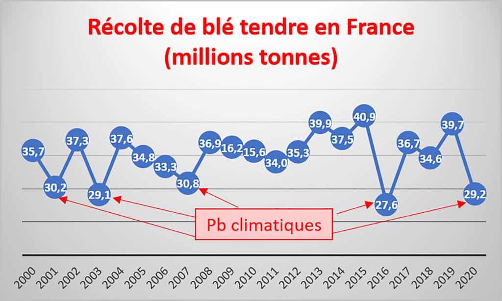 La récolte de blé diminue fortement en France à chaque incident climatique. © Graphique Parmentier à partir des chiffres FAO 