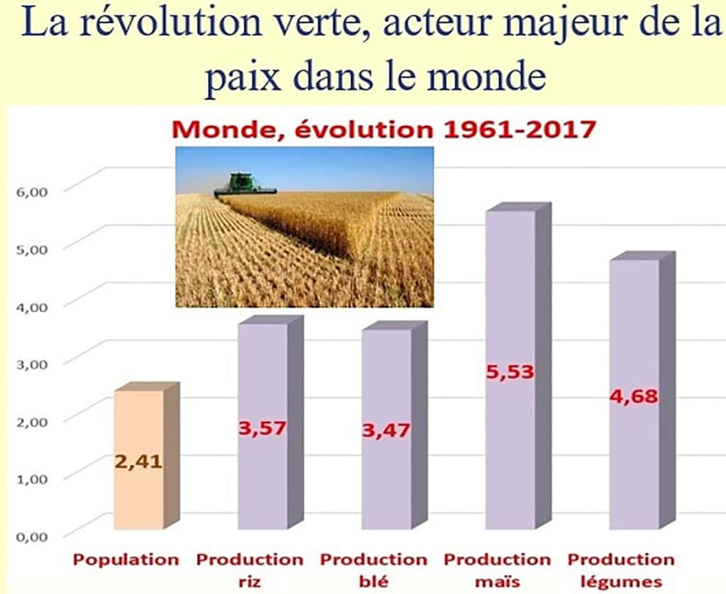 Les chiffres de la FAO montrent que si la population a beaucoup augmenté en 50 ans, la production de céréales et de légumes (mais aussi de viande et de laitage) a augmenté nettement plus. Résultat, on mange mieux à 8 milliards aujourd’hui que quand il n’y avait que 3 milliards de Terriens ! © Bruno Parmentier, tous droits réservés 