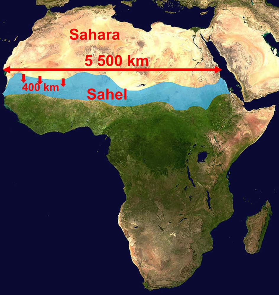  Le Sahara a gagné 400 kilomètres de hauteur sur 5 500 kilomètres de longueur, soit 4 fois la superficie de la France. © Bruno Parmentier