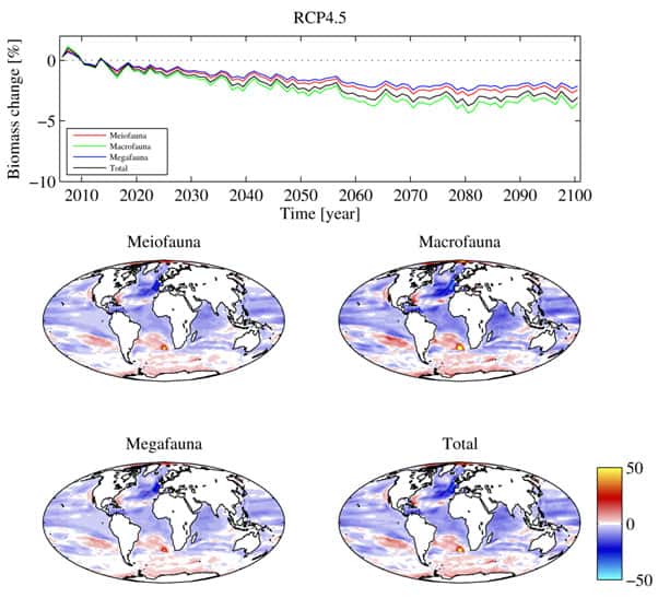 Ces illustrations montrent les variations de la biomasse benthique de 2006 à 2015 et de 2091 à 2100 pour le scénario climatique modéré (RCP 4.5). En haut, les changements prévus dans la biomasse pour différentes tailles de la faune benthique dans la série temporelle modélisée. Les planisphères montrent des variations, en pourcentage, de la biomasse benthique sur fond marin (mg.C.m<sup>-2</sup>). © Daniel Jones <em>et al.</em>, <em>Global Change Biology</em>, 2013