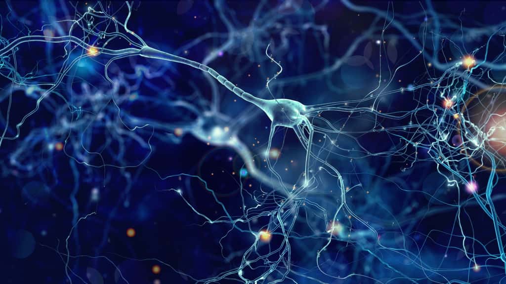 Les neurones hippocampiques codent-ils des éléments spécifiques d'un souvenir épisodique ? © Whitehoune, Adobe Stock