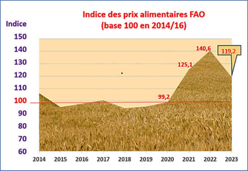 La baisse des prix alimentaires mondiaux observée par la FAO en 2023 ne représente que la moitié des fortes hausses des années 2021 et 2022. © Bruno Parmentier, tous droits réservés 