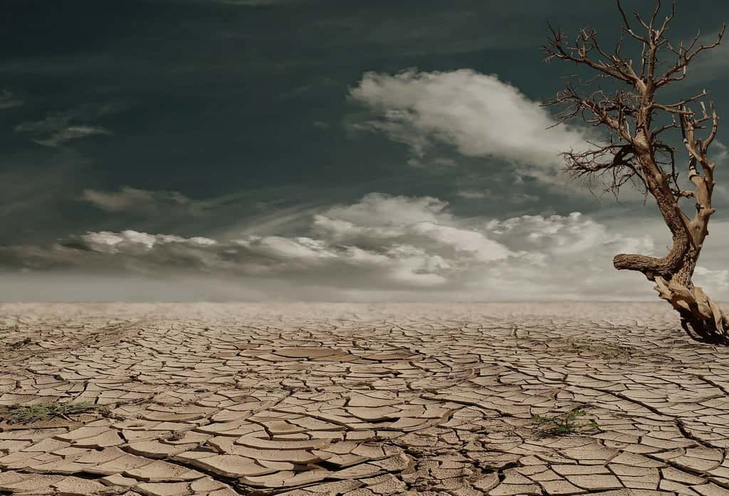L'accélération de la sécheresse aura un impact sur les cultures. © Marion, Pixabay, DP