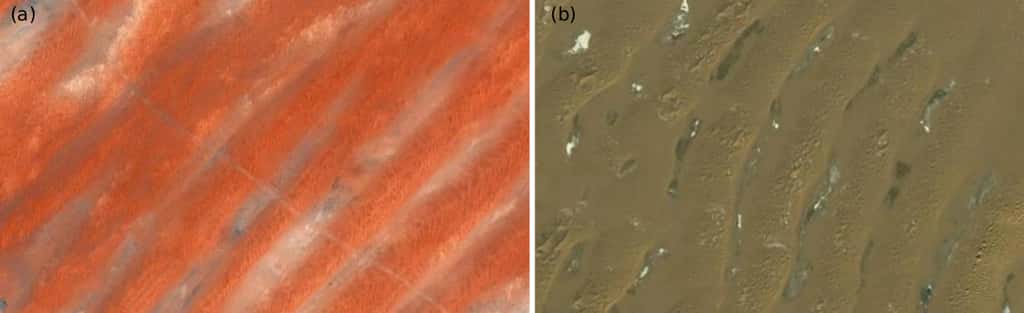 Dunes longitudinales de Mauritanie (7°34 ́58.99 Nord et 14°45 ́32.36 Ouest), (b) Dunes transverses en Chine (38°31 ́23.91 Nord et 105°05 ́40.97 Est). © CNRS, Insu