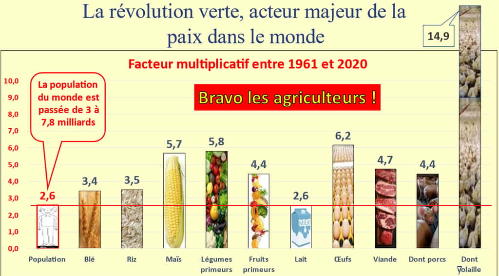  Entre 1961 et 2020, la population du monde est passée de 3 à 7,8 milliards, soit un facteur multiplicatif de 2,6. Dans le même temps, on a multiplié par 6,2 la production d’œufs et 4,7 la production de viande dont 14,9 la production de poulets. On mange donc beaucoup mieux sur une Planète de 8 milliards d’habitants que quand il n’y avait que 3. (Chiffres FAO). © Bruno Parmentier