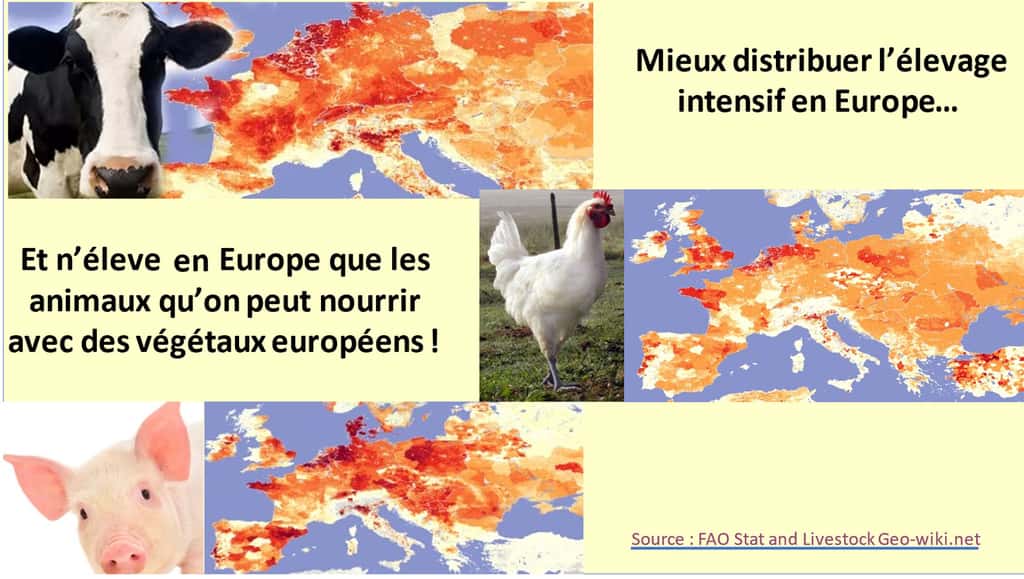 En Europe, ce sont souvent dans les mêmes régions que l’on observe la plus grande densité de bovins, de porcs et de poulets, comme en Bretagne, en Hollande, au Danemark, en Pologne, en Lombardie, etc. © FAO