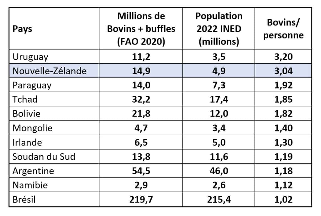  Onze pays du monde élèvent plus de bovins qu’ils ne comptent d’habitants. En Uruguay et en Nouvelle Zélande, c’est trois fois plus ! (chiffres FAO et Ined). © Bruno Parmentier 
