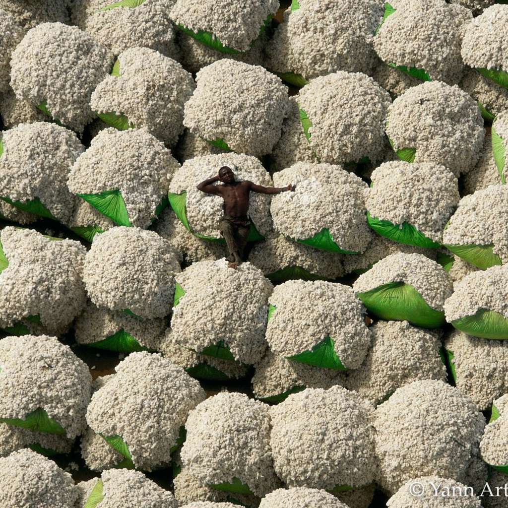 Balles de coton, Thonakaha, Korhogo region, Ivory Coast (9°28' N - 5°36' W). © Yann Arthus-Bertrand, tous droits réservés
