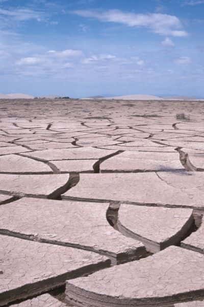 Fentes de dessiccation dans un fond de lagune au Pérou après les inondations de 1983 dues à un épisode El Niño extrême. Ces épisodes pourraient être plus fréquents à l’avenir, avec environ un par décennie. © L. Emperaire, IRD