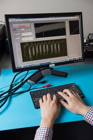 Le clavier biométrique pourrait être commercialisé d'ici deux ans. © Rob Felt, <em>Georgia Institute of Technology </em>