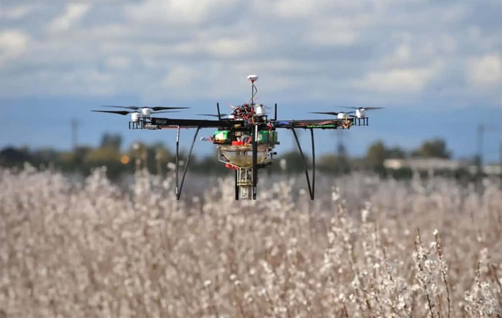 Le drone de Dronecopter peut polliniser jusqu'à 16 hectares en une heure. Sa vitesse est adaptée pour optimiser la pulvérisation du pollen. © Dronecopter