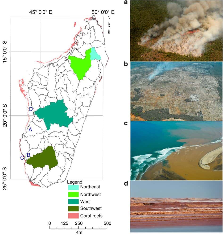 Dans une étude, quatre bassins versants de Madagascar ont été analysés. Ils sont représentés en nuances de vert sur la carte, et les récifs coralliens en rose. Les photos a et b montrent les dégâts occasionnés par la déforestation, et les photos c et d l'état actuel de sédimentation des récifs. © Joseph Maina <em>et al.</em>, <em>Nature Communications</em>