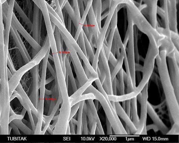 Pour pouvoir être transformées en aérogel, les nanofibrilles de cellulose, visibles ici au microscope électronique à balayage, ont d’abord été lyophilisées pour éliminer toute trace d’humidité. © Aslamacia, Wikimedia Commons