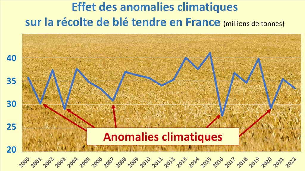 La récolte française de blé a beaucoup plus souffert des anomalies climatiques en 2001, 2003, 2007, 2015 ou 2020 qu’en 2022… © Chiffres Agreste