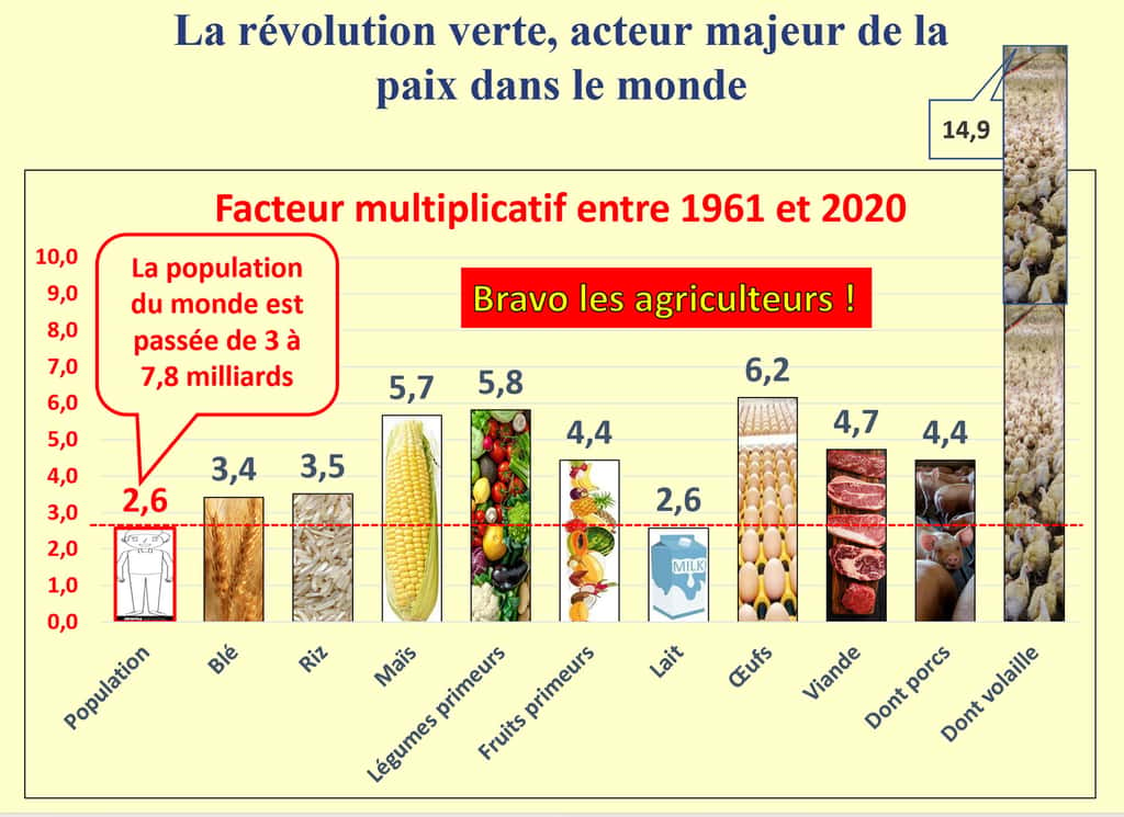 Malgré une augmentation de la population sans précédent dans l’histoire de l’humanité depuis les années 60, l’agriculture mondiale a fait beaucoup mieux, la sécurité alimentaire mondiale n’a cessé de progresser. Graphique de l’auteur à partir de chiffres FAOstat. © Bruno Parmentier, tous droits réservés 