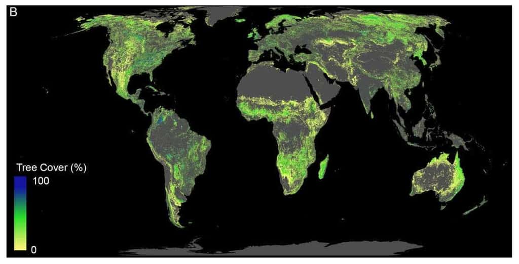 Les surfaces en vert montrent la surface terrestre disponible pour y planter des arbres, elles excluent les forêts déjà existantes, les déserts, les villes et les cultures, soit 0,9 milliard d’hectares. © ETH Zurich, Crowther Lab