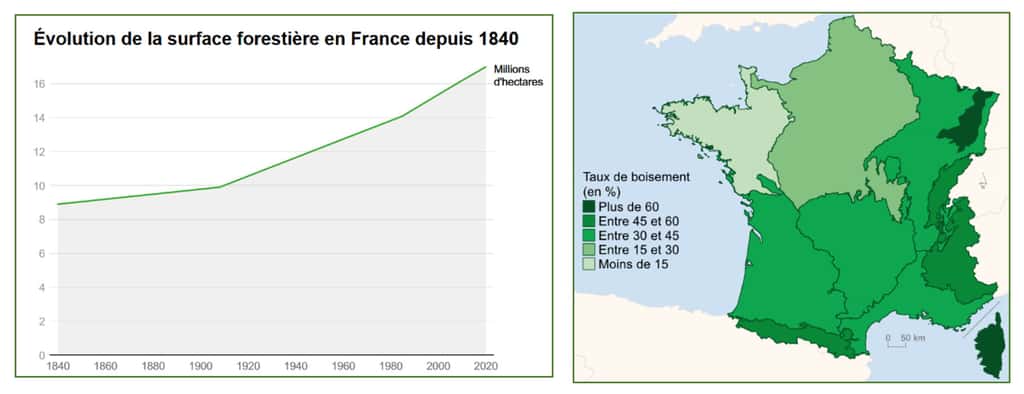 Taux de boisement en France relevé lors de l’inventaire 2015-2019. Total estimé 17 millions d’hectares en 2020, 31 % du territoire métropolitain. <a href="https://www.statistiques.developpement-durable.gouv.fr/les-forets-en-france-synthese-des-connaissances-en-2021" target="_blank">Source</a> : IGN, inventaire forestier national 2019. © Traitements : SDES, 2021