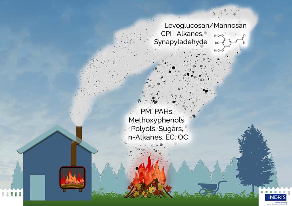 Résumé graphique de l'étude sur le brûlage des déchets verts et la combustion de bûches de bois en foyer. © Institut national de l'Environnement industriel et des RISques (Ineris)
