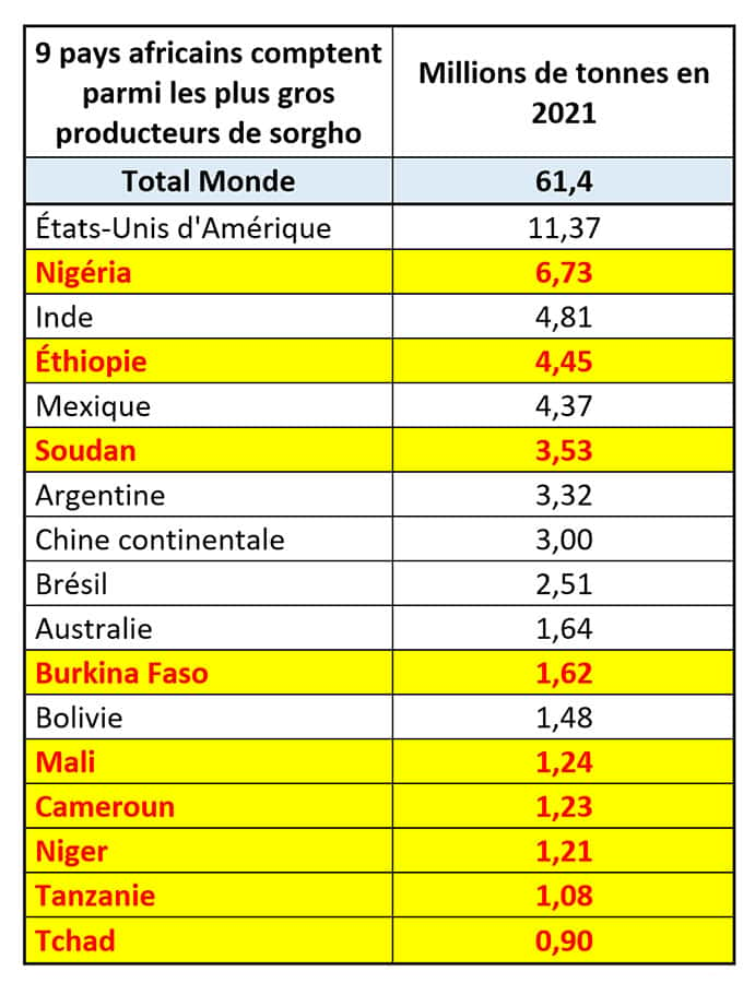 L’Afrique est également très présente dans la production mondiale de sorgho, mais elle peut et doit encore progresser fortement. Chiffres FAO 2021. © Bruno Parmentier, DR