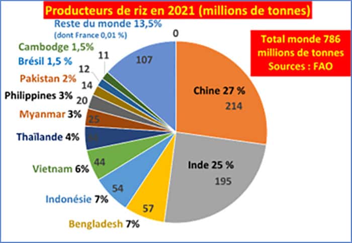 Chine et Inde produisent à elles seules 52 % du riz mondial ; en ajoutant 10 autres pays, à la production nettement plus modeste, on arrive à 87 % ! © Graphique de Bruno Parmentier à partir de chiffres FAO