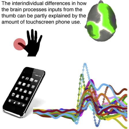 Une équipe de chercheurs de l’université de Zurich a étudié l’influence de l’utilisation du smartphone sur le cerveau et plus particulièrement la zone du cortex associée au toucher. Ils ont pu corréler l’interaction des doigts (pouce, index, majeur) sur l’écran tactile au développement du cortex somato-sensoriel. © University of Zurich, ETH Zurich

