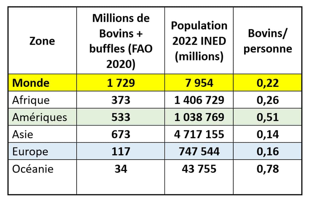En 2023, la population mondiale a dépassé les 8 milliards d’humains… et celle des bovins le 1,7 milliard ! (Chiffres FAO 2020 et Ined 2022). © Bruno Parmentier, tous droits réservés  