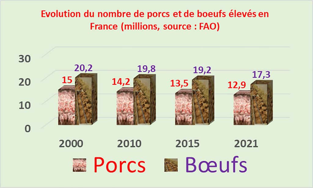 Dans les 20 dernières années, le cheptel bovin et porcin a fortement diminué en France, plus que la consommation, et du coup, nos importations ont augmenté ! Sources © Agreste 2022. © IGN et  Inra 2017