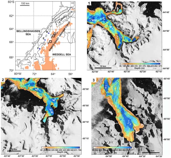 La répartition de la biodiversité des fjords antarctiques a été évaluée sur trois sites dans la mer de Weddel. Sur la carte du haut à gauche, les trois carrés montrent les emplacements des lieux analysés, la baie Andvord (1), Flandres (2) et la baie Barilari (3). Les cartes suivantes montrent la bathymétrie des sites. © Laura Grange et Craig Smith, <em>Plos One</em>