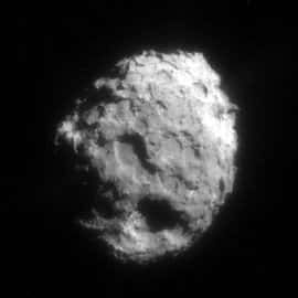 Noyau de la comète wild2Crédits : NASA