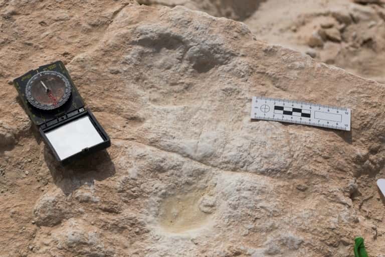  La première trace de pas humaine découverte à la surface d'un ancien lac baptisé <em>Alathar</em>, en Arabie saoudite. Photo non datée. © Klint Janulis, AFP, Archives 