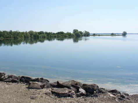 Au lac du Der, la LPO suit la fin de la migration d'automne
