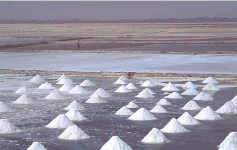 Sénégal : Récolte du sel dans les marais salants de Fatik. IRD - Barrière, Olivier