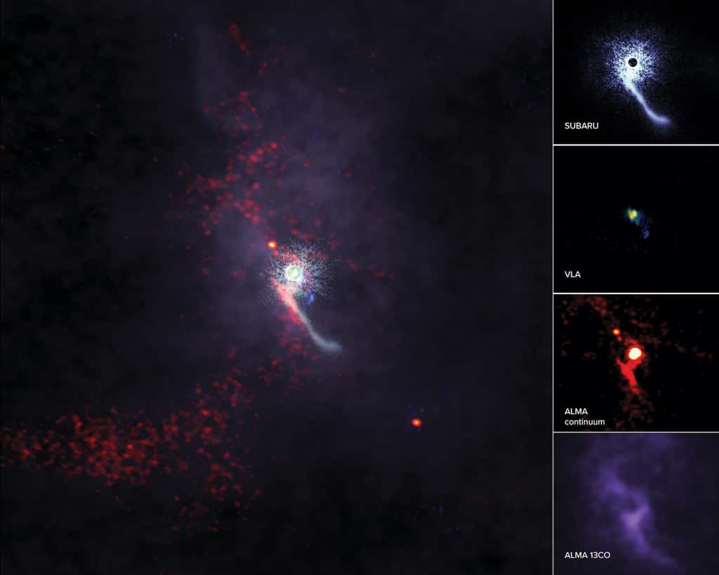 Les astronomes savent que les étoiles sœurs interagissent entre elles. Mais il est rare qu’ils observent le passage au cœur d’un système stellaire, d’un <em>« intrus »</em>. Et celui qu’ils ont observé du côté de Z Canis Majoris a laissé des traces. © Alma (ESO/NAOJ/NRAO), S. Dagnello (NRAO/AUI/NSF), NAOJ