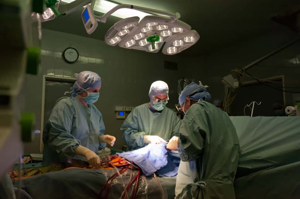 L’ionisation peut servir à stériliser du matériel chirurgical. © Service photo du département du Val-de-Marne, Flickr, CC by-nc-nd 2.0