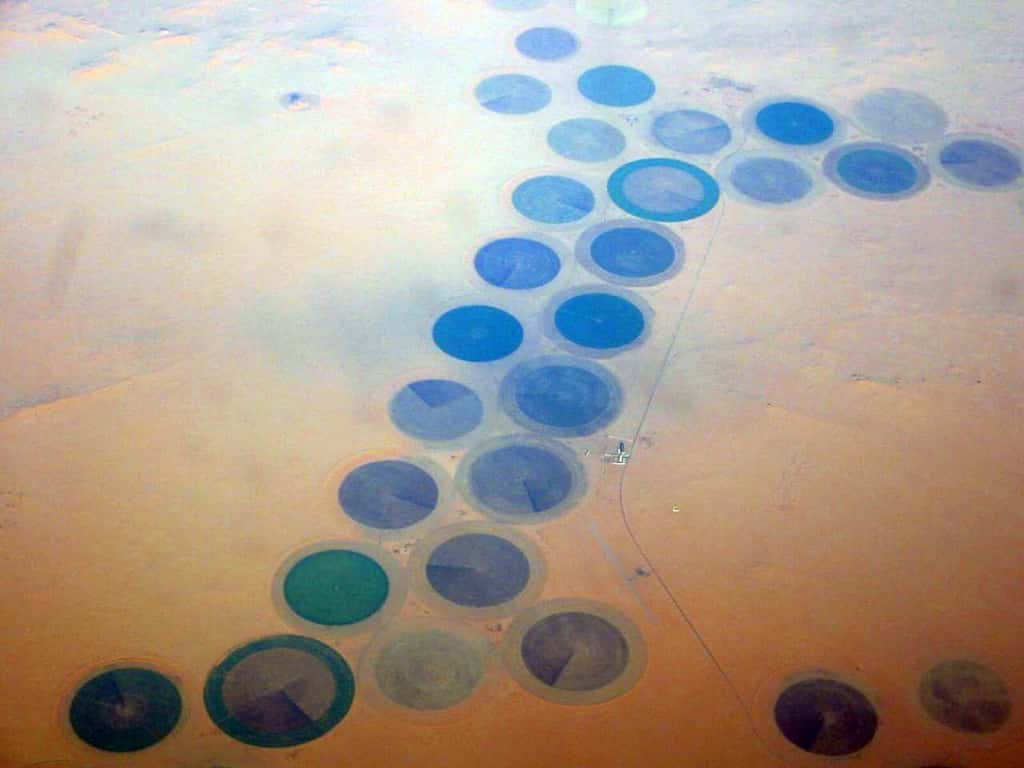 Les cultures réalisées dans le désert (ici en Lybie) ont une forme ronde particulière. Elle est liée à l'utilisation du matériel d'irrigation qui tourne en rond autour d'un axe central. © futureatlas.com, Flickr, CC by 2.0