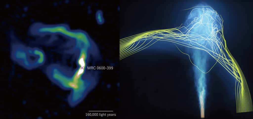 Sur ces images, les jets de plasma courbés émis par le trou noir supermassif au centre de la galaxie MRC 0600-399. À gauche, l’image obtenue par le radiotélescope MeerKAT (Afrique du Sud). À droite, celle obtenue par la simulation. © Chibueze, Sakemi, Ohmura et <em>al.</em> (Image MeerKAT) ; Takumi Ohmura, Mami Machida, Hirotaka Nakayama, 4D2U Project, Naoj (image Aterui II)