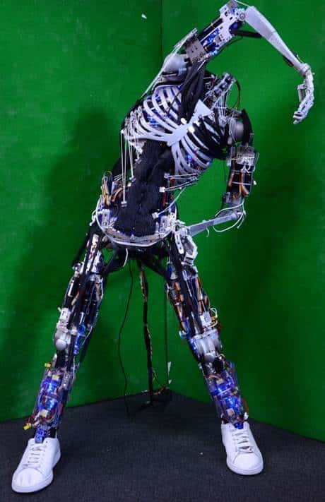 Kenshiro est le 5e robot musculo-squelettique produit par le Johou Systems Kougaku Laboratory. Son développement a débuté en 2012. © Université de Tokyo