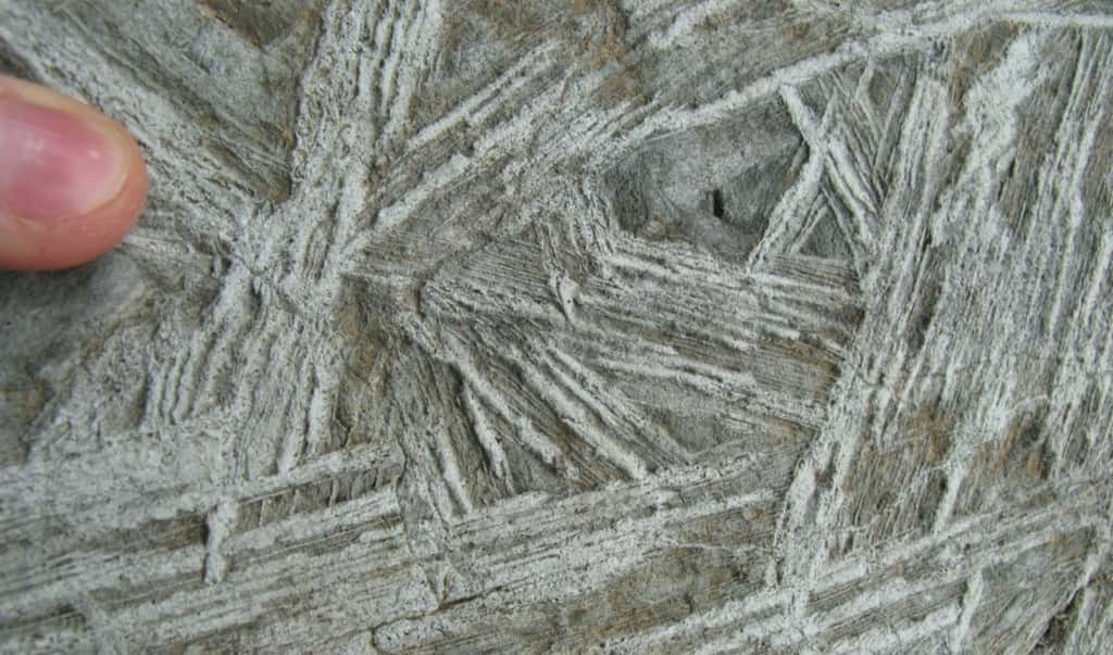 Un échantillon de komatiite trouvé au Canada dans la ceinture des roches vertes de l'Abitibi. On voit bien la texture caractéristique appelée Spinifex. © Ryan Anderson