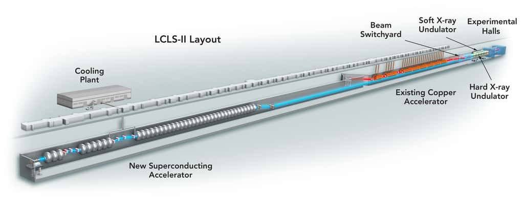 Le laser à rayons X LCLS-II, en bleu, à gauche, est représenté à côté du LCLS existant en rouge, à droite. Le LCLS utilise le dernier tiers de l'accélérateur linéaire de 3 km du Slac, une structure creuse en cuivre qui fonctionne à température ambiante et permet de générer 120 impulsions de rayons X par seconde. Pour LCLS-II, le premier tiers de l'accélérateur en cuivre sera remplacé par un supraconducteur, capable de créer jusqu'à 1 million d'éclairs de rayons X par seconde. © Laboratoire national des accélérateurs, Slac
