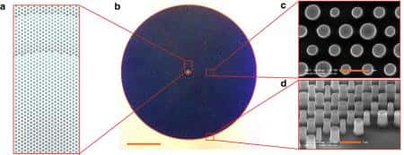 Les microlentilles planes inventées par les chercheurs sont constituées de picots de silicium. Sont représentés sur le schéma : l'image utilisée pour réaliser une microlentille plane (a), l'image en microscopie optique d'une microlentille plane (b) et les images en microscopie électronique à balayage des picots de silicium offrant à la lentille de hautes performances (c, d). Barres d'échelle : 1 picomètre. © <em>Nature Communications</em>