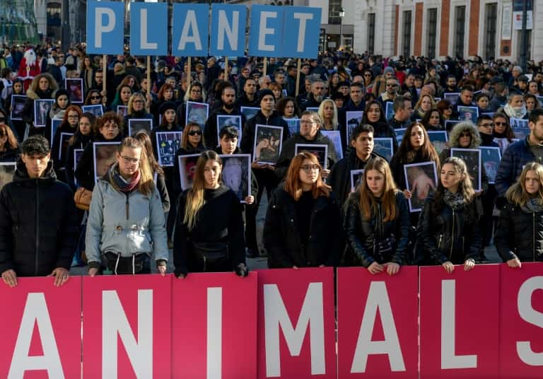 Manifestation contre le réchauffement climatique lors de la COP25, le 7 décembre 2019 à Madrid, en Espagne. © Cristina Quicler, AFP, Archives