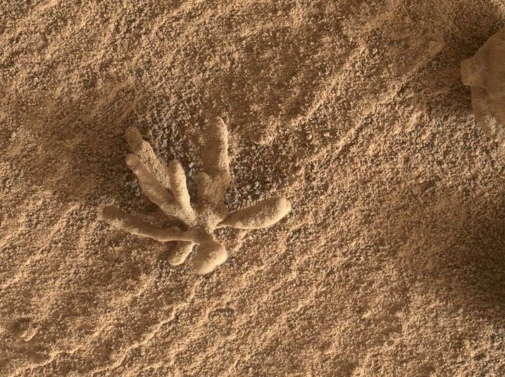 Cette image a été prise toujours par la caméra Mars Hand Lens Imager du rover Curiosity. C’était le 24 février 2022. Une <em>« fleur »</em> formée par des minéraux transportés par l’eau. © Nasa