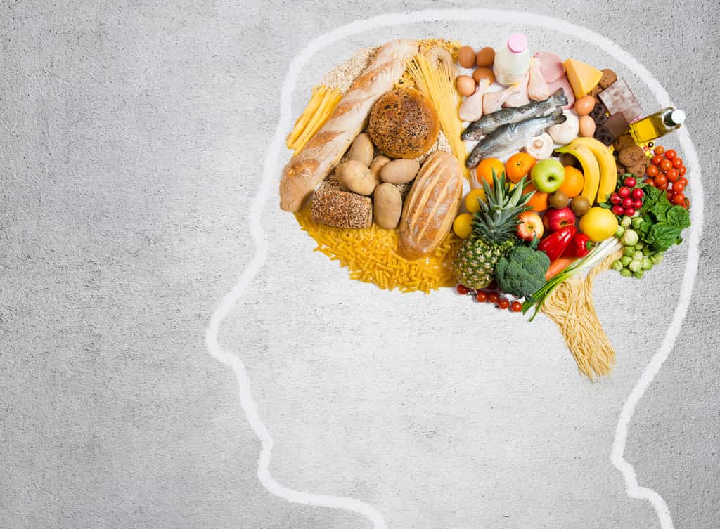 Cette étude montre qu’il existe des mécanismes cérébraux qui s’activent lorsque nous nous exposons à un certain type d’aliments. © Tijana, Fotolia