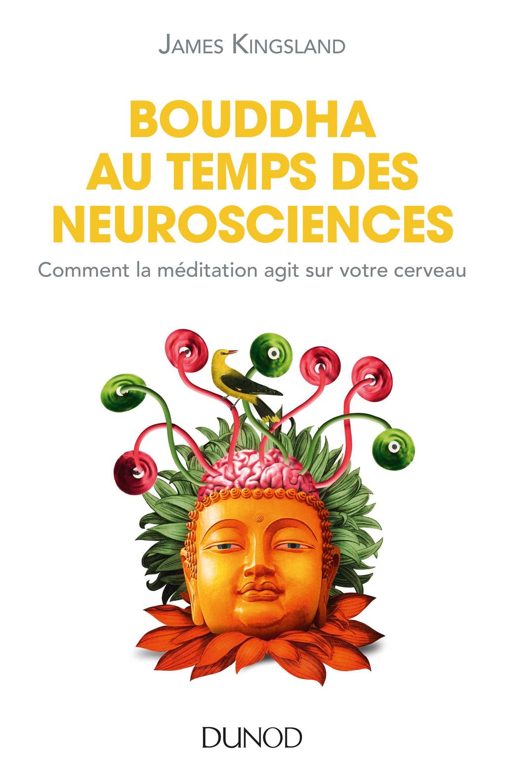 Découvrez le livre de James Kingsland <em><a href="http://www.dunod.com/sciences-techniques/culture-scientifique/themes/bouddha-au-temps-des-neurosciences" title="Bouddha au temps des neurosciences - Comment la méditation agit sur notre cerveau" target="_blank">Bouddha au temps des neurosciences</a></em>. © Dunod